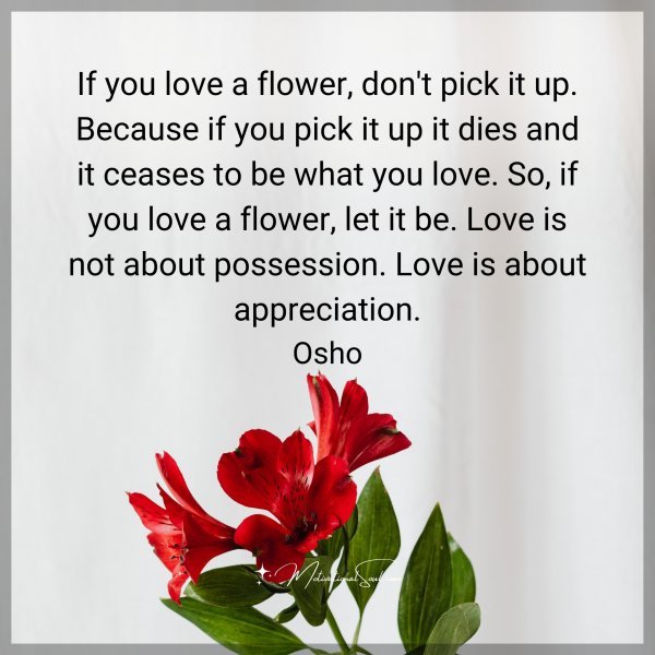 If you love a flower