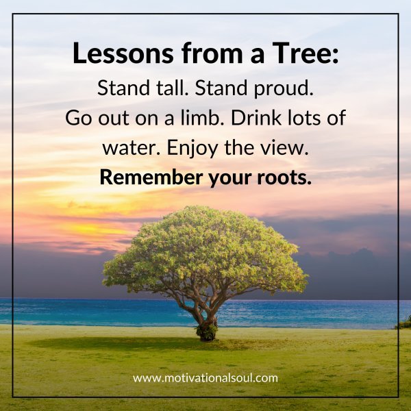 Lessons from a Tree:
