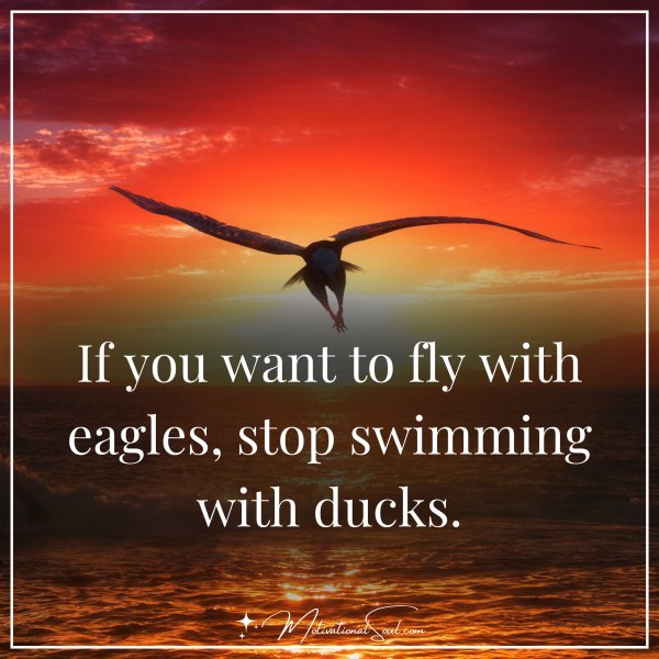 IF YOU WANT TO FLY WITH EAGLES