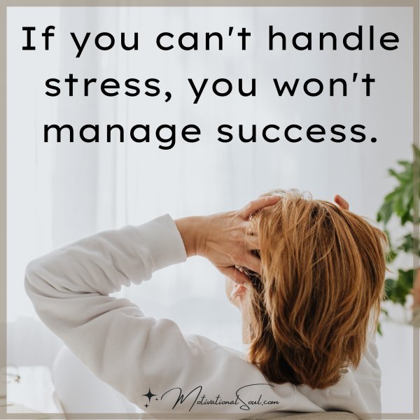 Quote If you can't handle stress, you won't manage success