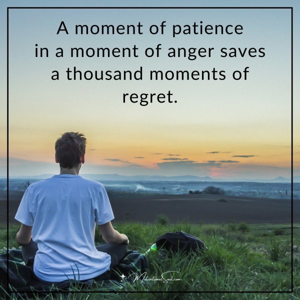 A moment of patience in a moment of anger saves a thousand moments of regret.
