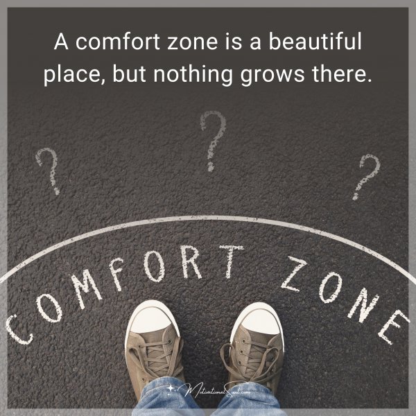 A comfort zone is a beautiful place