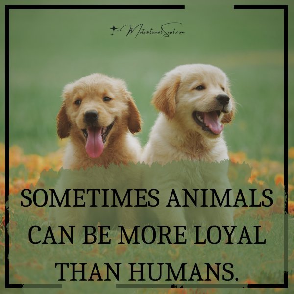 quote-sometimes-animals-can-be-more-loyal-than-humans-motivational-soul