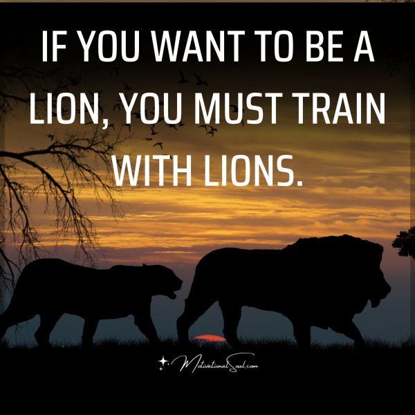 IF YOU WANT TO BE A LION