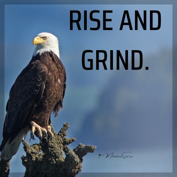 RISE AND