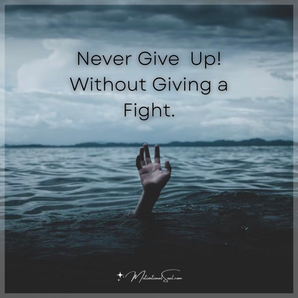 Never Give