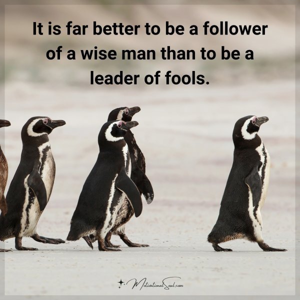 It is far better to be a follower of a