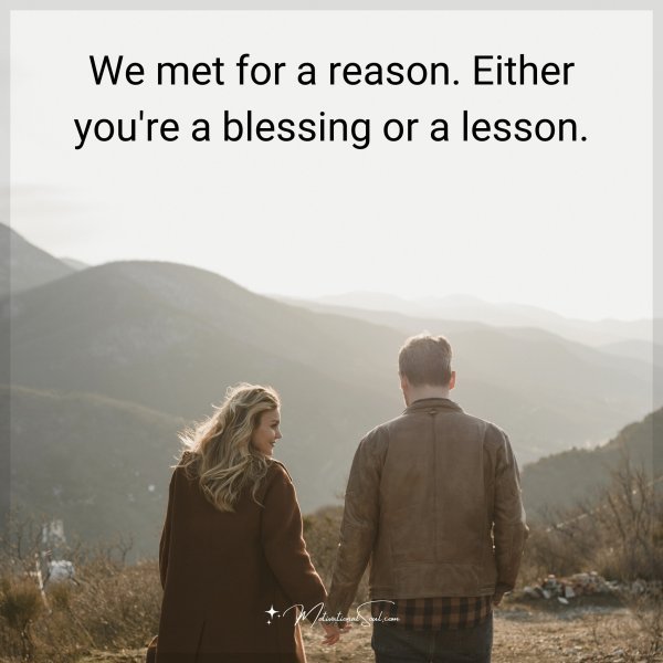 We met for a reason. Either you're a blessing or a lesson.