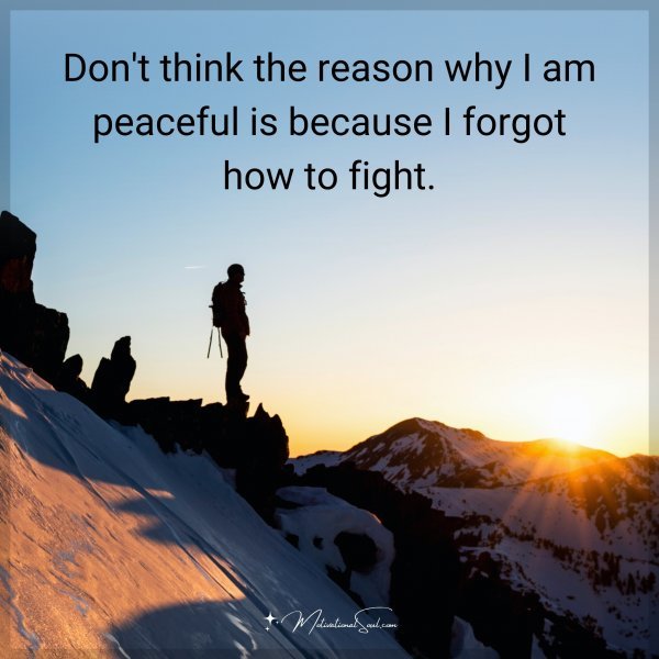 Don't think the reason why I am peaceful is because I forgot how to fight.