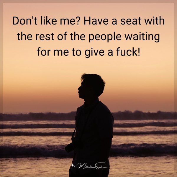 Don't like me? Have a seat with the rest of the people waiting for me to give a fuck!