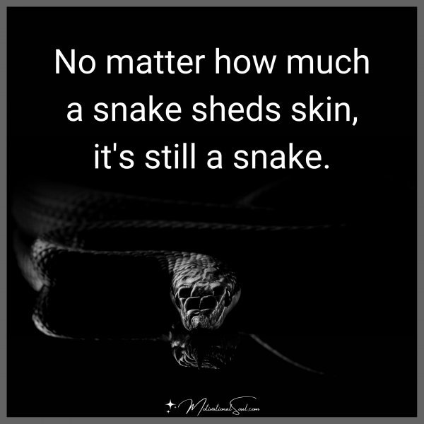 Quote No matter how much a snake sheds skin, it's still a snake. Motivational Soul