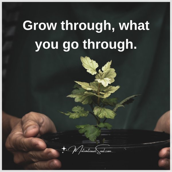 Grow through