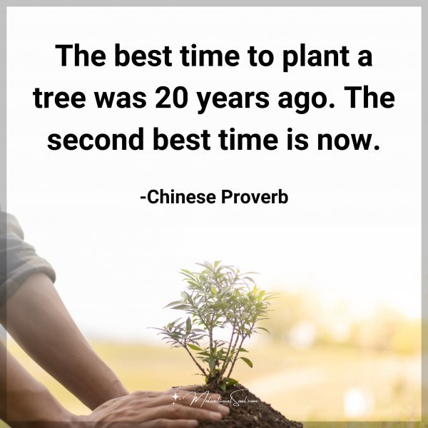 The best time to plant a tree was 20 years ago. The second best time is now. -Chinese Proverb Type "Yes" if you agree.