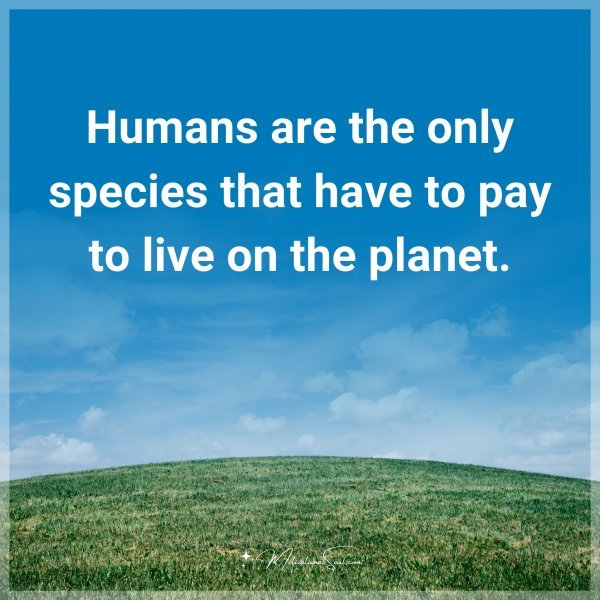 Quote: Humans Are The Only Species That Have To Pay To Live On The ...