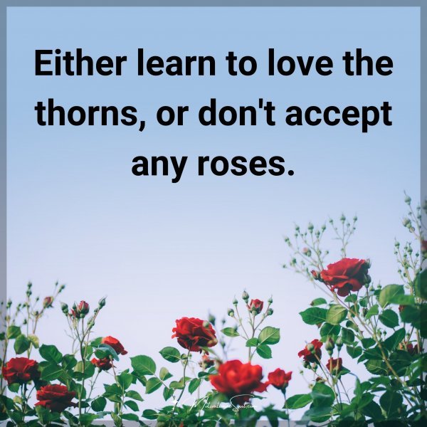 Either learn to love the thorns