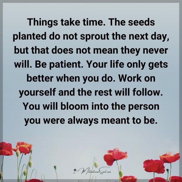 Things take time. The seeds planted do not sprout the next day