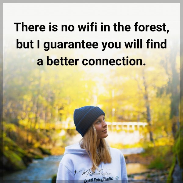 There is no wifi in the forest