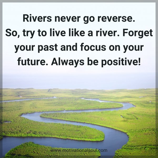 Quote Rivers never go reverse. So, try to live like a Motivational Soul